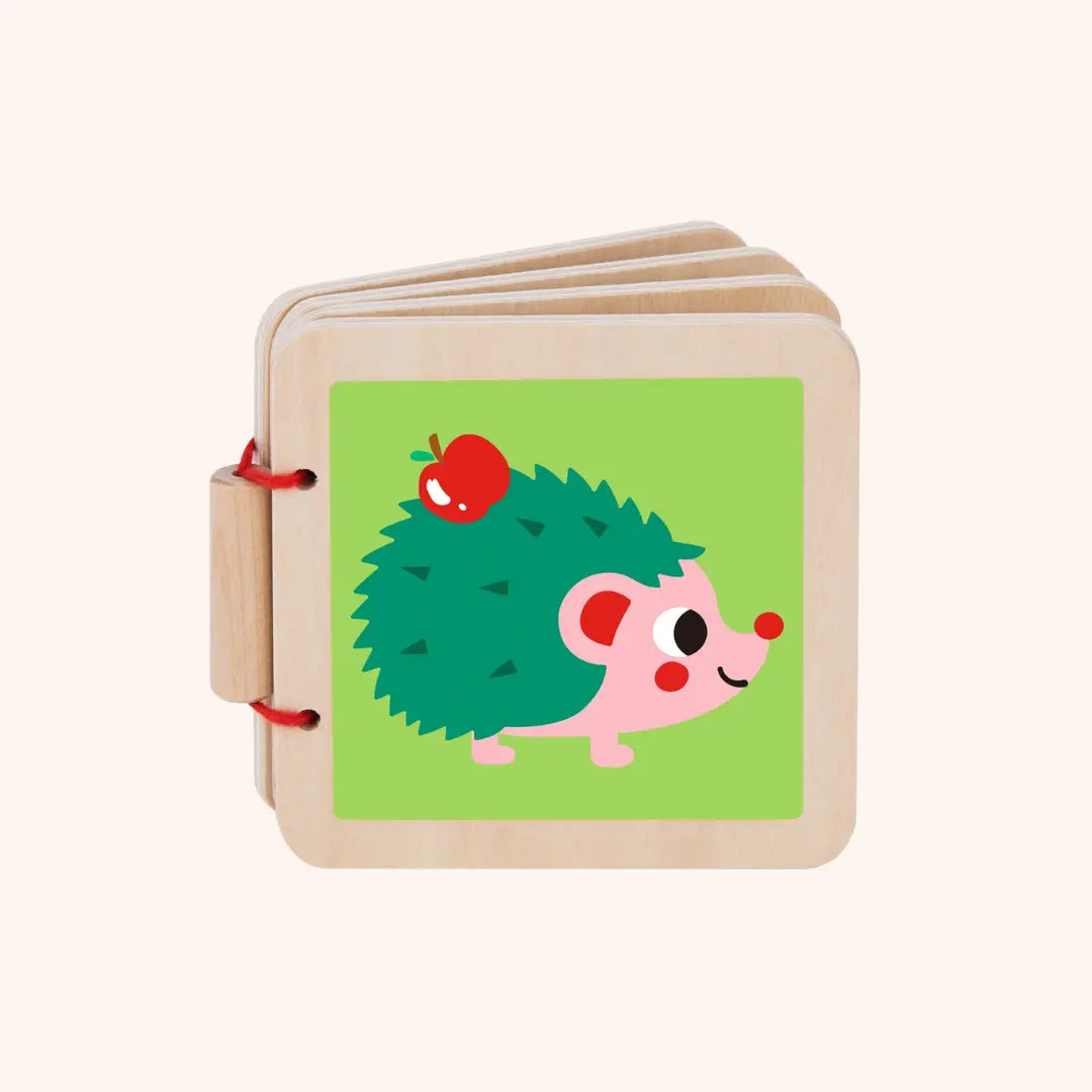 Montessori Toddlers Play Kit 7–12 måneder